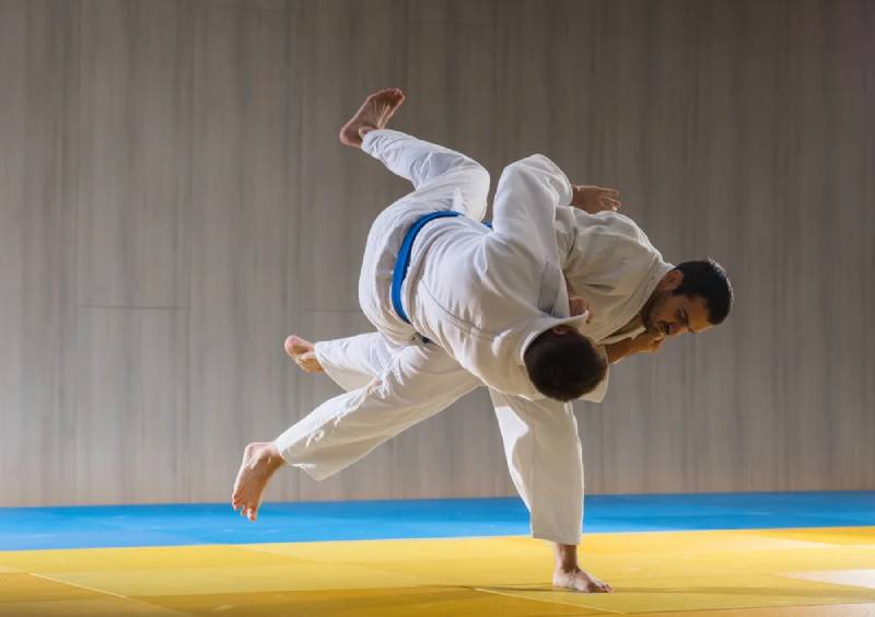 Judo Là Gì?