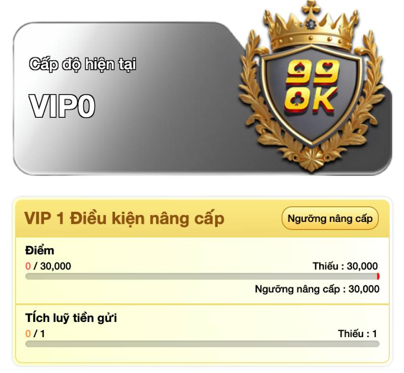 Quy Tắc & Lưu Ý Chương Trình VIP